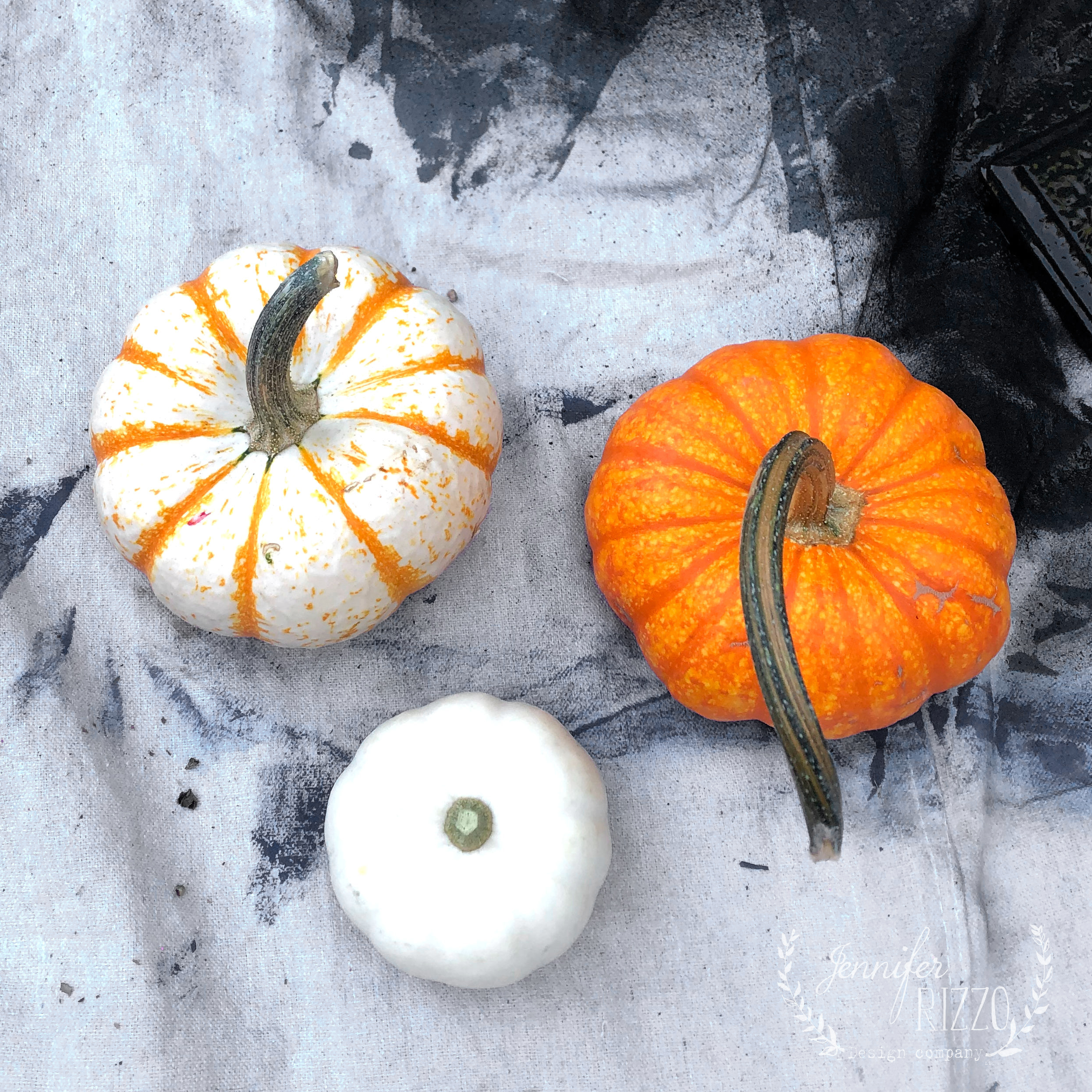 Learn how to paint Halloween decorations using a HomeRight paint sprayer. The sprayer makes it easy to paint twisty branches and fall pumpkins!