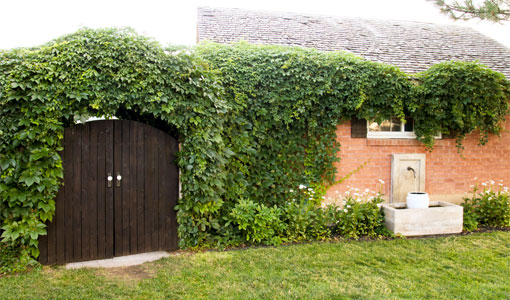 DIY Stained Backyard Gate with a Paint Sprayer